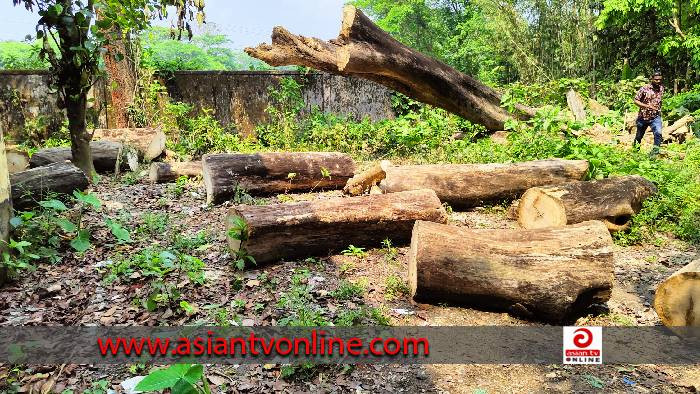 হিজলা স্বাস্থ্য কমপ্লেক্সের সহকারীর বিরুদ্ধে গাছ লুট করার অভিযোগ