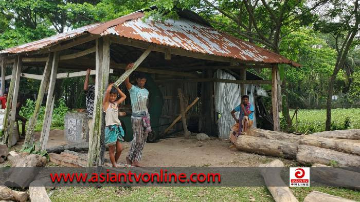 রাঙ্গাবালীতে করাতকল থেকে কেওড়া প্রজাতি গাছ উদ্ধার