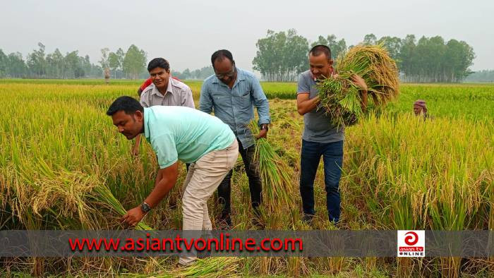 নীলফামারীতে কৃষকের ধান কেটে ঘরে তুলে দিলেন ৪ সাংবাদিক