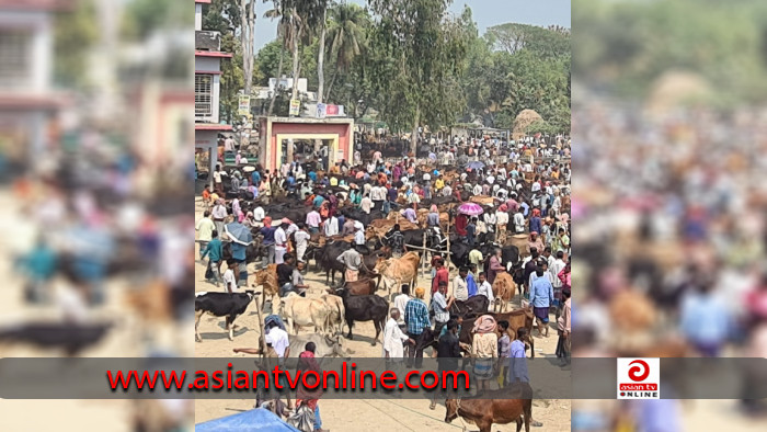 প্রাথমিক বিদ্যালয়ের গেট আটকে চলছে গরুর হাট