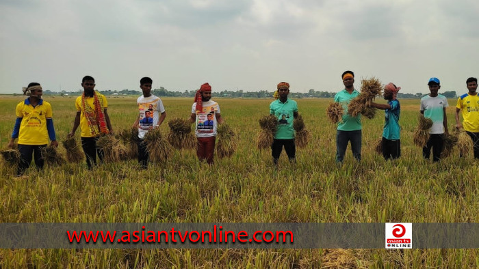 কৃষকের ৫০ শতাংশ জমির ধান কেটে দিলেন ইটনা উপজেলা ছাত্রলীগ