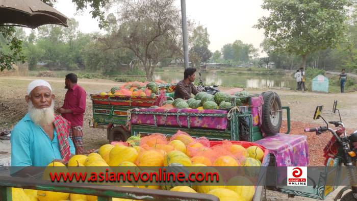 কালাইয়ে হলুদ তরমুজ চাষে নতুন সম্ভাবনা