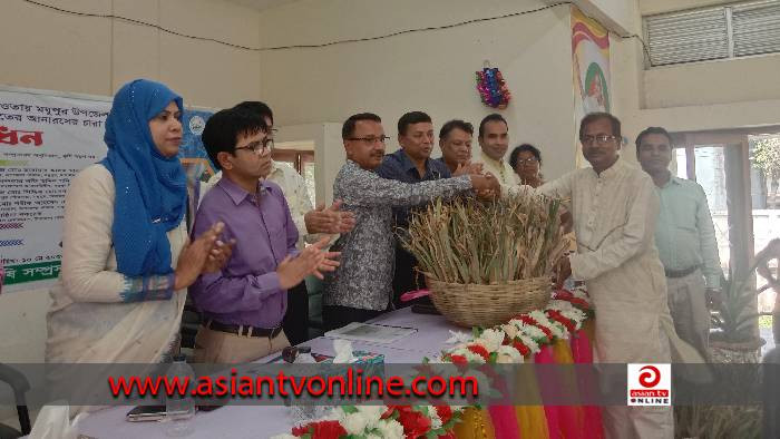 মধুপুরে কৃষকদের মাঝে সুপার সুইড জাতের আনারসের চারা বিতরণ