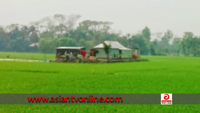 অপরিকল্পিত ঘরবাড়ি স্থাপন করায় হুমকিতে মেঘনা-ধনাগোদা সেচ প্রকল্প