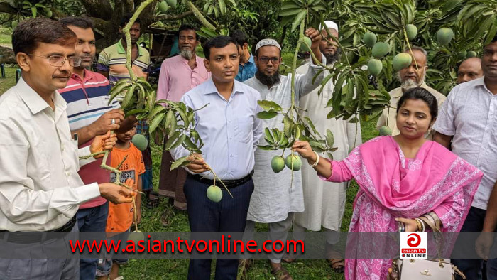 নাটোরে ৭৫০ কোটি টাকার আম বিক্রির লক্ষমাত্রা নির্ধারণ