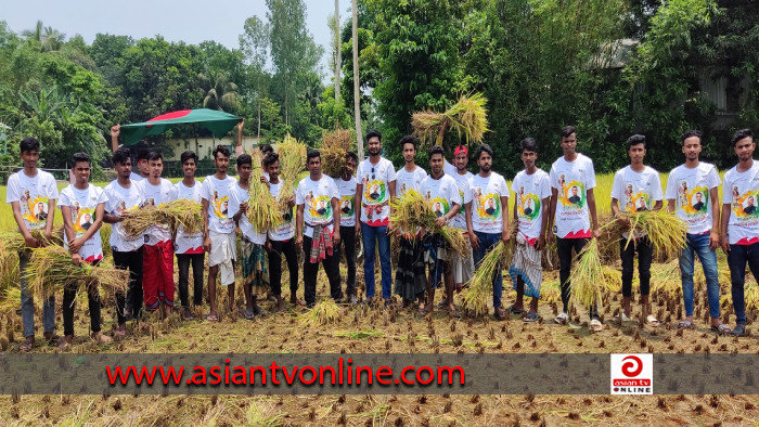 বেলকুচিতে দরিদ্র কৃষকের ধান কেটে দিলে পৌর ছাত্রলীগ