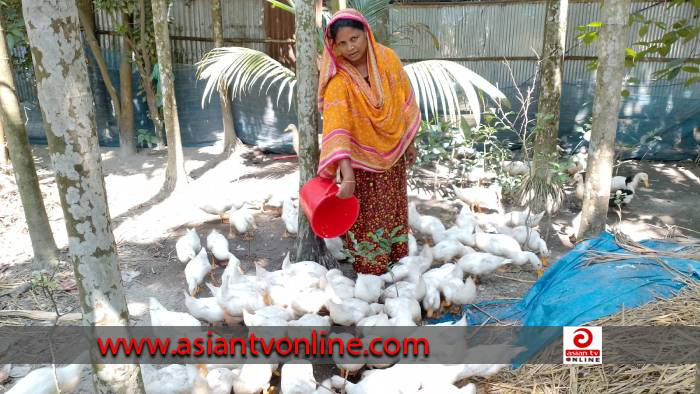 পিকিং হাঁস পালন করে দারিদ্র্যতাকে জয় করেছে মেরিনা