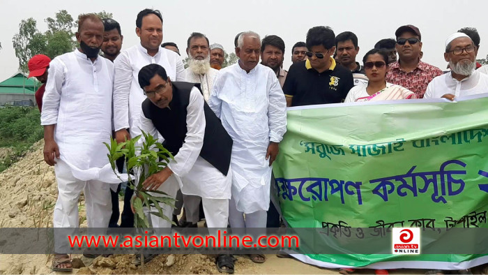 বাসাইলে প্রকৃতি ও জীবন ক্লাবের বৃক্ষরোপণ