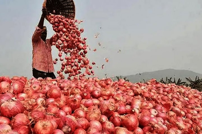 পেঁয়াজের কেজি প্রায় ১০০ টাকা