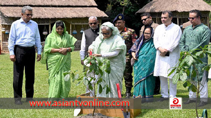 জলবায়ু পরিবর্তনের বিরূপ প্রভাব মোকাবেলায় বেশি করে গাছ লাগানোর আহ্বান প্রধানমন্ত্রীর