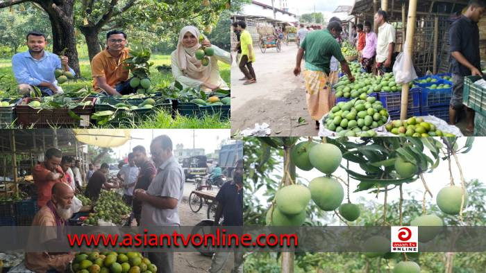 হাঁড়িভাঙা আমে সয়লাব বাজার