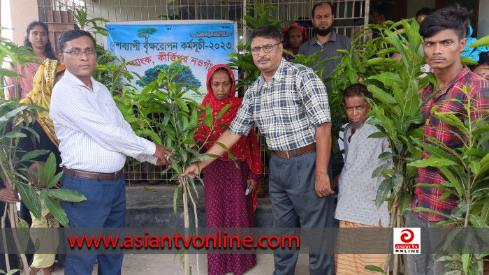 নওগাঁয় ৫০ হাজার ফলজ ও বনজ গাছের চারা বিতরণ