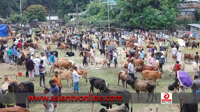 রাঙামাটিতে কোরবানি হবে ২০ হাজার  পশু: লেনদেন হবে ২শ কোটি টাকা