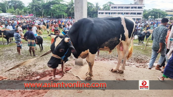 রামপালে জমে উঠেছে কোরবানির পশুর হাট