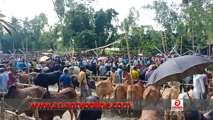 কাউনিয়ায় জমে উঠেছে কোরবানির পশুর হাট