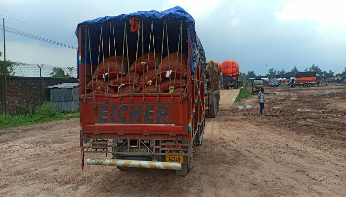 আমদানির পরেও দাম কমছে না কাঁচা মরিচের