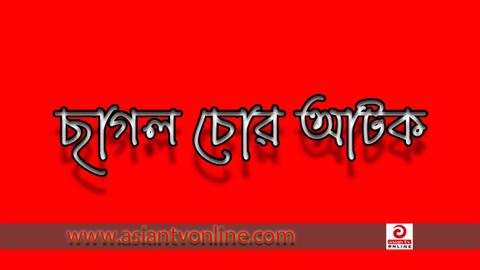 গাংনীতে চোরাই ছাগলসহ ২ চোর আটক