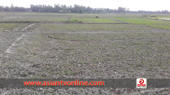 ভরা মৌসুমে বৃষ্টি না হওয়ায় হতাশায় সৈয়দপুরের কৃষকরা!