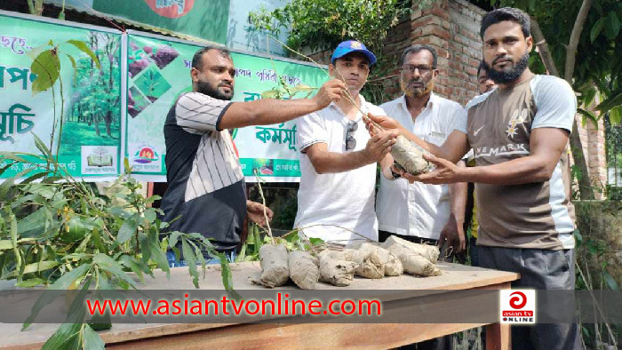 তরুপল্লব পাঠাগারের উদ্যোগে ৫ হাজার গাছের চারা বিতরণ