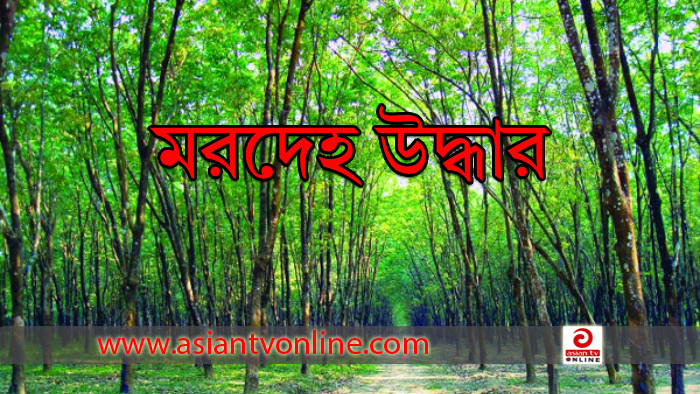 মধুপুর শালবন থেকে অজ্ঞাত ব্যক্তির মরদেহ উদ্ধার