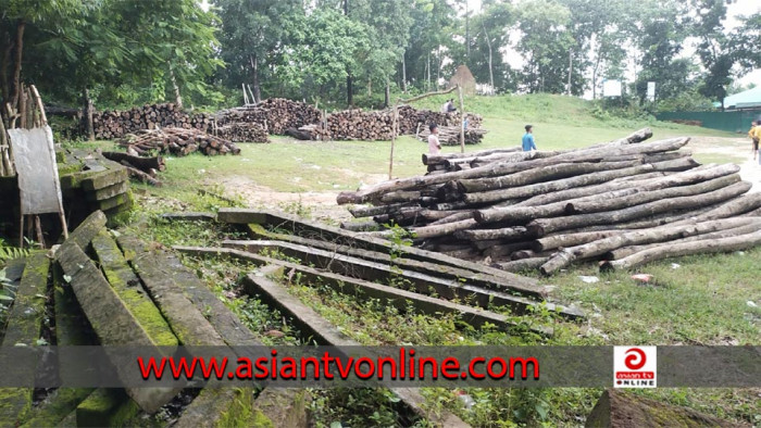 রামুতে খেলার মাঠ দখল করে কাঠের ব্যবসা