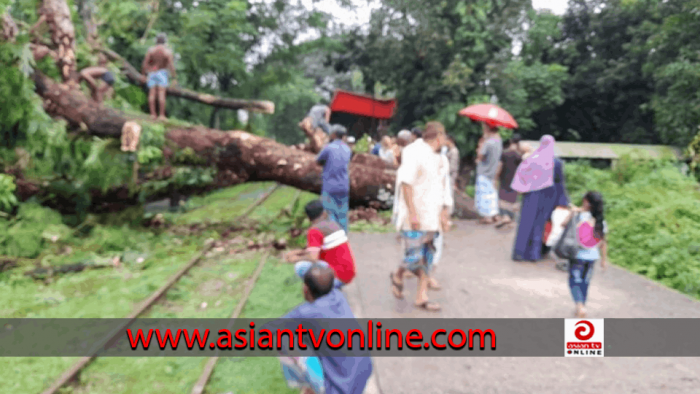 নোয়াখালীতে গাছ উপড়ে ঢাকাসহ সারাদেশের সঙ্গে রেল যোগাযোগ বন্ধ