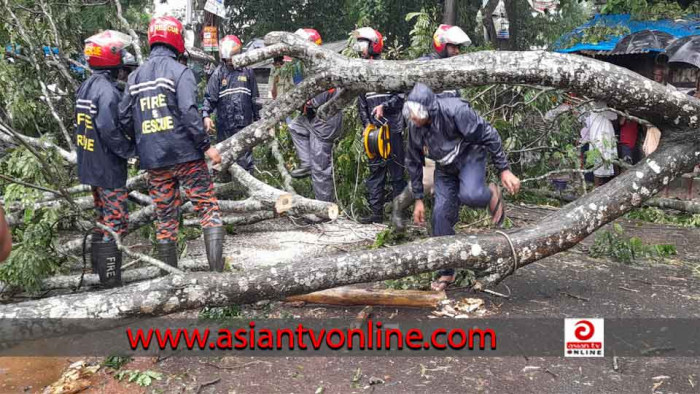 ৭ দিনে চট্টগ্রাম-কাপ্তাই সড়কে ভেঙ্গে পড়েছে ৮টি গাছ