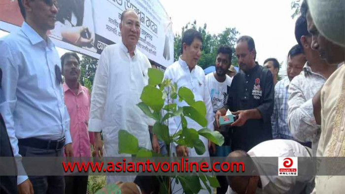 ঘাগড়া-বড়ইছড়ি সড়কে ৩ হাজার বৃক্ষরোপণ করবে বন বিভাগ