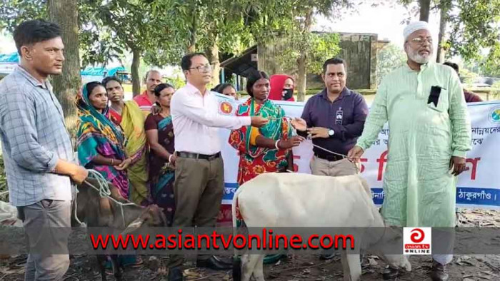 পীরগঞ্জে ক্ষুদ্র নৃ-গোষ্ঠীর ২২ পরিবারকে গরু প্রদান