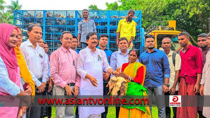 বীরগঞ্জে ক্ষুদ্র নৃ-গোষ্ঠিদের মাঝে গরু-হাঁস-মুরগি বিতরণ