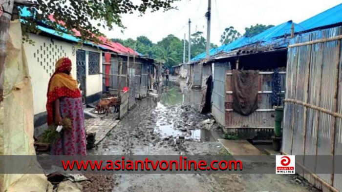 কর্মসংস্থান ও নিরাপত্তা চান শিবগঞ্জ আশ্রয়ন প্রকল্পের বাসিন্দারা