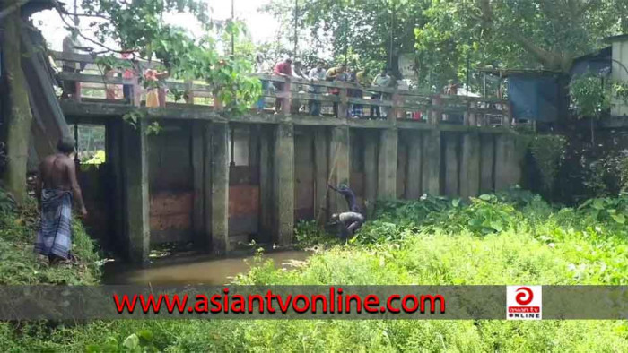 সাঘাটায়  স্লুইচগেট খুলে দেয়ায় রক্ষা পেল ১০০ হেক্টর জমির আমন চারা