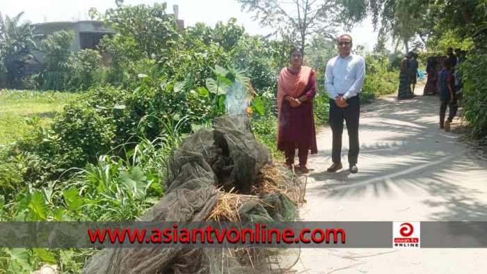 বাসাইলে নিষিদ্ধ চায়না জালের বিরুদ্ধে উপজেলা প্রশাসনের অভিযান