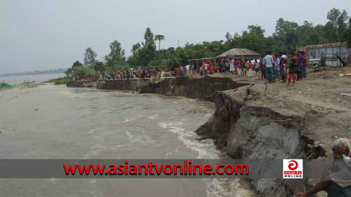 চলতি বর্ষায় চৌহালীতে ৫শ’ বাড়িঘর  যমুনায় বিলীন