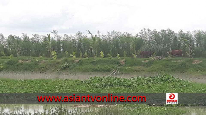 বরিশালে সরকারি খাস জমি দখল করে লাখ টাকার বাণিজ্য