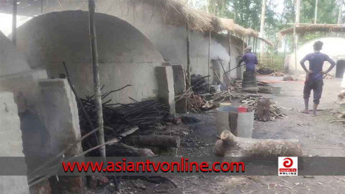 গাইবান্ধার সাঘাটায় অবৈধভাবে কাঠ পুড়িয়ে চলছে কয়লা তৈরির কাজ