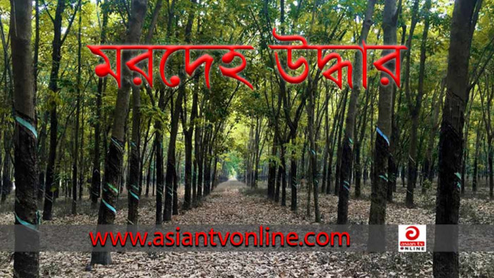 চুনারুঘাটে অজ্ঞাত এক ব্যক্তির মরদেহ উদ্ধার