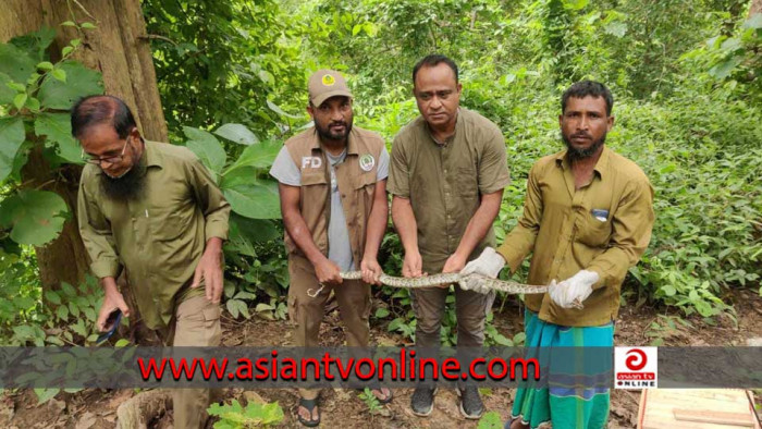 কাপ্তাই জাতীয় উদ্যানে অজগর অবমুক্ত