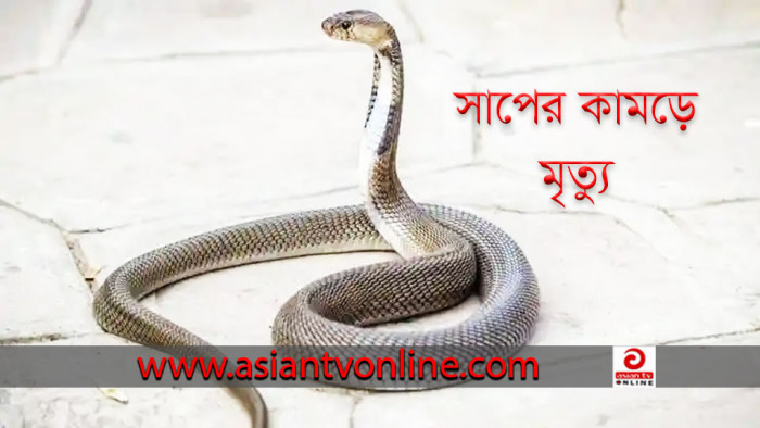 নবীনগরে সাপের কামড়ে স্কুলছাত্রীর মৃত্যু