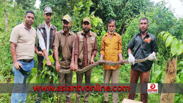 কাপ্তাই জাতীয় উদ্যানে বিরল প্রজাতির অজগর সাপ অবমুক্ত