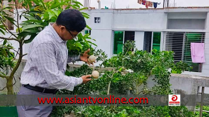 নরসিংদী পাসপোর্ট অফিসের ছাদ যেন এক দৃষ্টিনন্দন বাগান