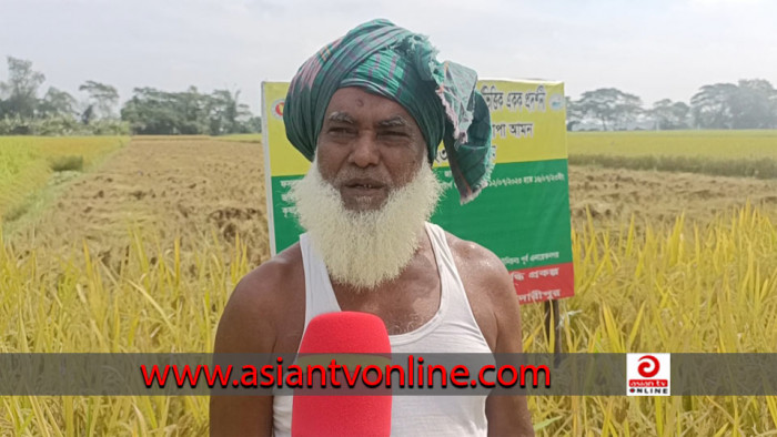 কালকিনিতে বোরো আমন বিনাধান-১৭ এর বাম্পার ফলন