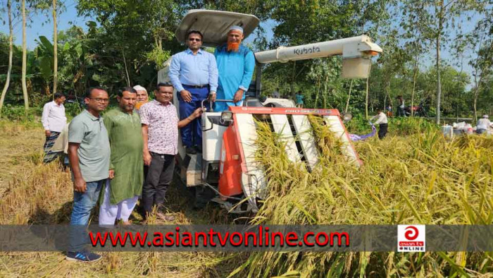 মধুপুরে কম্বাইন্ড হারভেস্টারে কাটা হচ্ছে সমলয় চাষের ধান