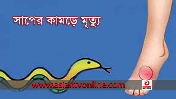 বিলাইছড়িতে সাপের দংশনে এক শিশুর মৃত্যু