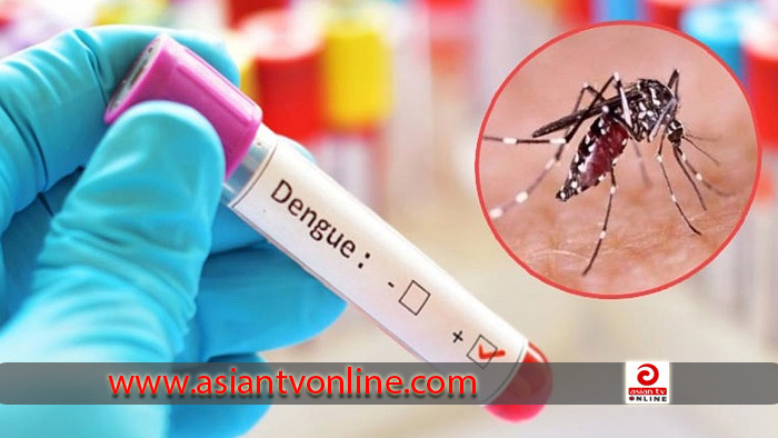 ডেঙ্গু ৮ জনের মৃত্যু, হাসপাতালে ভর্তি ১০৮৪