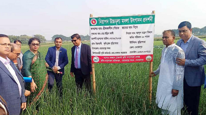 মেহেরপুরে গ্রীষ্মকালীন পেঁয়াজ প্রদর্শনী