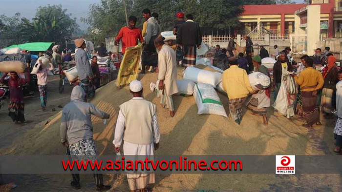 নওগাঁয় হাটে নতুন ধানের সরবরাহ বাড়ায় মণে দাম কমেছে ১০০ টাকা