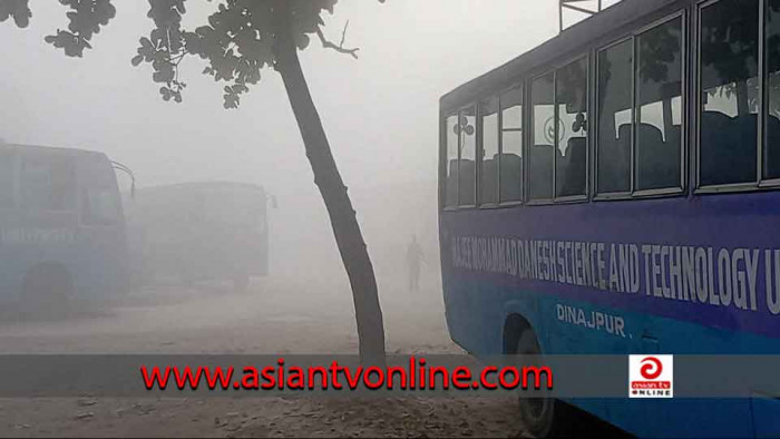 ঘন কুয়াশার চাদরে ঢেকে গেছে হাবিপ্রবি ক্যাম্পাস