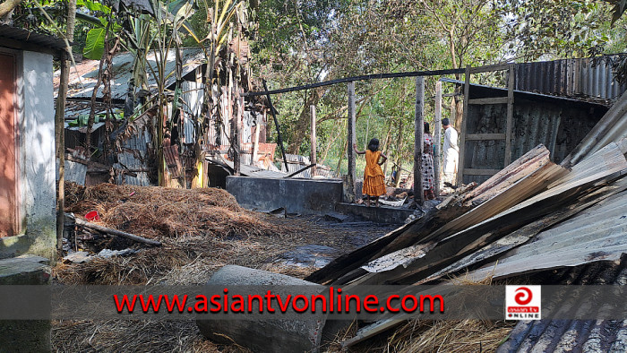 ঘাটাইলে অগ্নিকাণ্ড, পুড়ে গেছে ঘর ও গবাদিপশু