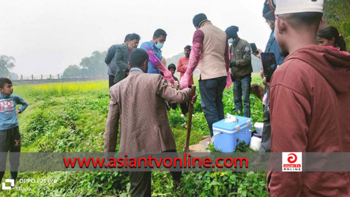 বিজয়নগরে পাগলা কুকুরের কামড়ে ১০ জন আহত